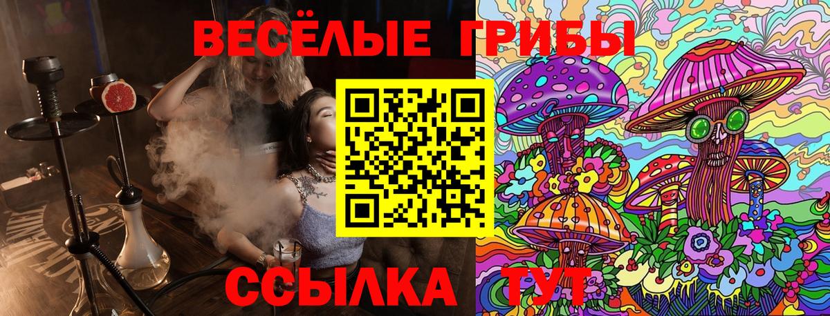 Псилоцибиновые грибы Magic Shrooms  Вход с VPN  Лосино-Петровский  Псилоцибиновые грибы Psilocybe 